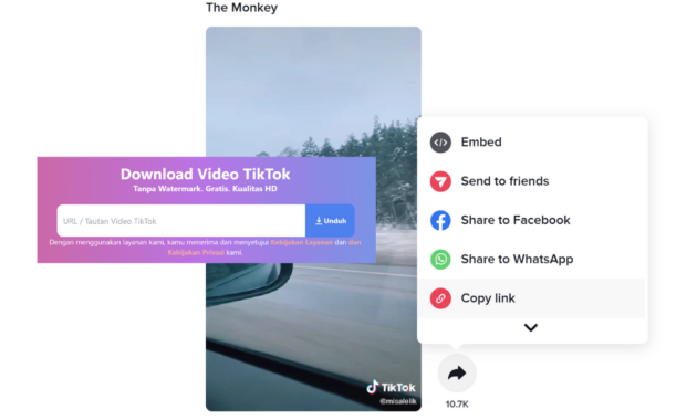 Download Video TikTok Tanpa Watermark
