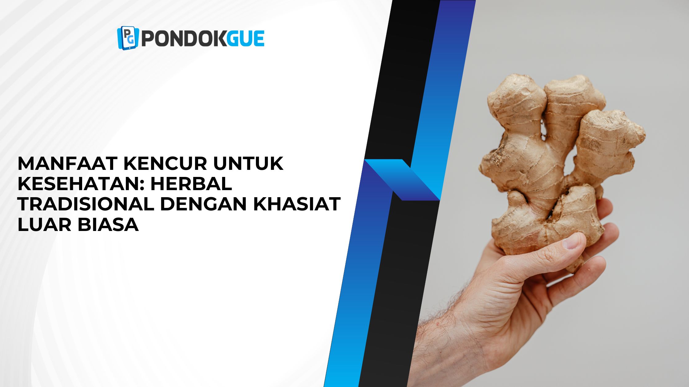 Manfaat Kencur untuk Kesehatan